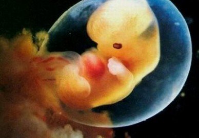 MOJE DZIECKO ZOSTAŁO UZDROWIONE - Świadectwo